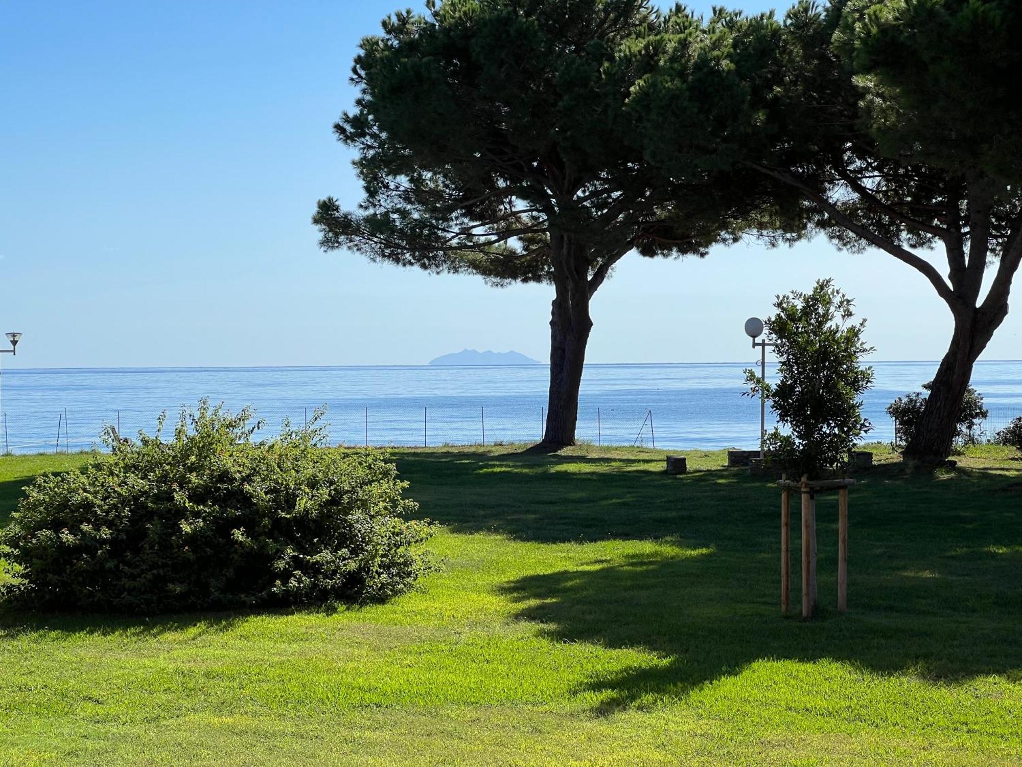 Appartement N 216 Moriani Plage سانتا لوسيا دى مورياني المظهر الخارجي الصورة
